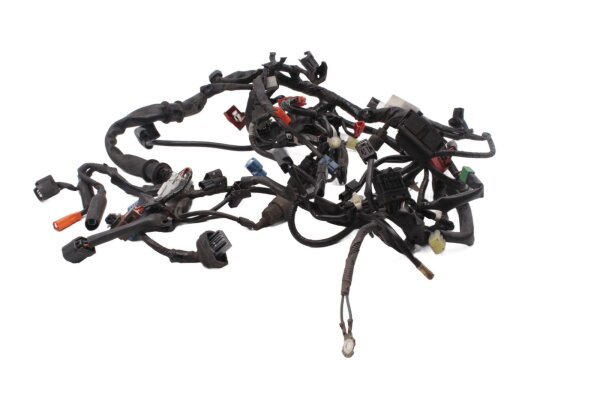 Arnés de cableado, arnés de cableado principal, componentes eléctricos, conectores, fusibles Honda NC 750 S RC88 16-20