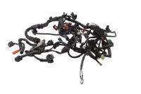 Cablaggio, cablaggio principale, componenti elettrici,...