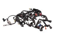Arnés de cableado, arnés de cableado principal, componentes eléctricos, conectores, fusibles Honda NC 750 S RC88 16-20