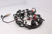 Arnés de cableado, arnés de cableado principal, componentes eléctricos, conectores, fusibles Honda NC 750 S RC88 16-20