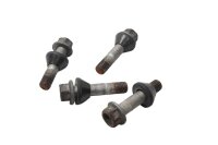 Radsatz Schrauben Radschauben Satz Befestigung BMW R 1150 RS R22 0447 01-05