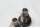 Schwingenlagerachse Bolzen Exzenter Schwinge BMW R 1150 RS R22 0447 01-05