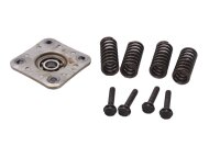 Clutch pressure plate, springs, screws, clutch system...
