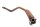Udstødningsmanifold, katalysator, lambdasonde, udstødningssystem Honda NC 750 S RC88 16-20