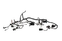 Wiring harness, main harness, main wiring set, electrical...