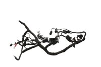Wiring harness, main harness, main wiring set, electrical...