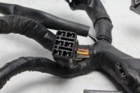 Hauptkabelbaum Elektrik Kabelbaum Suzuki DL 1000 V-Strom WVBS 02-12