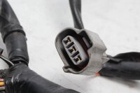 Hauptkabelbaum Elektrik Kabelbaum Suzuki DL 1000 V-Strom WVBS 02-12