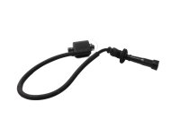 Bobina de encendido trasera, cables de encendido,...