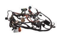Wiring harness, ignition cables, fuse, relay, connector...