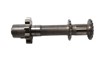 Oil pump shaft, drive shaft, oil pump, gears, engine BMW...