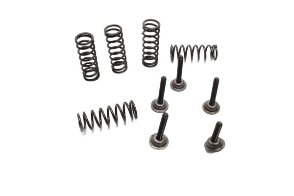 Muelles de embrague, tornillos de embrague, placa de presión Suzuki DL 1000 V-Strom WVBS 02-12
