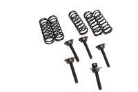Muelles de embrague, tornillos de embrague, placa de presión Suzuki DL 1000 V-Strom WVBS 02-12