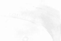Vasen sivupaneeli, paneelin kiinnike BMW R 1150 RS R22 0447 01-05