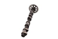 Camshaft, control shaft, valve control, drive BMW K 1100...