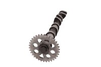 Camshaft, control shaft, engine control, drive BMW K 1100...