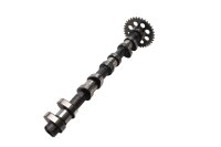 Camshaft, control shaft, rocker arms, valve train BMW K...