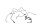 Jarruletkusarja hydrauliikkaletku BMW R 1150 R Rockster 0308 R21 03-05