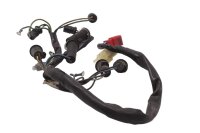 Cablaggio, fusibili, relè, indicatore di direzione Honda CB 1000 F Big One SC30 93-96
