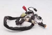 Cablaggio, fusibili, relè, indicatore di direzione Honda CB 1000 F Big One SC30 93-96