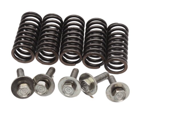 Muelles de embrague, juego de tornillos, paquete de embrague Honda CB 1000 F Big One SC30 93-96