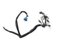 Cablaggio per illuminazione strumenti, portalampada BMW R 1100 S R2S 98-06
