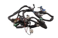 Main wiring harness, wiring harness, fuse, electrical...