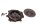 Plateau de pression dembrayage, cloche dembrayage BMW R 1150 R Rockster 0308 R21 03-05