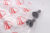 Protection de chaîne, couvercle de transmission Ducati Scrambler 803 Desert Sled 22-22