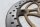 Disco de freno delantero, perforado, freno flotante Suzuki DL 1000 V-Strom WVBS 02-12