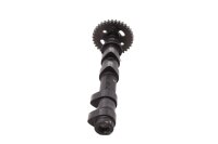 Albero a camme di scarico albero di distribuzione Kawasaki Versys 650 LE650A /KLE 650B 07-09