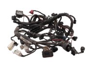 Kabelboom, hoofdkabel Kawasaki Versys 650 LE650A /KLE...