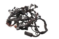 Cablaggio, cavo elettrico principale Kawasaki Versys 650 LE650A /KLE 650B 07-09