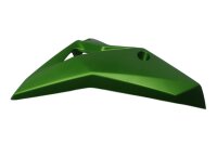 lower left fairing cover, side panel paint Kawasaki Z 800 A 14-14