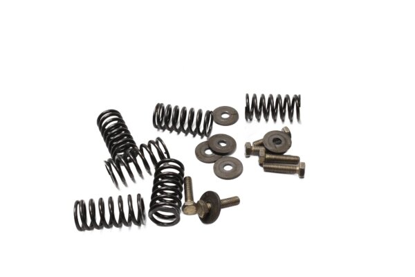 Clutch springs, screw set, mounting hardware BMW F 650 GS R13, F650GS/04 04-07