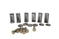 Clutch springs, screw set, mounting hardware BMW F 650 GS R13, F650GS/04 04-07