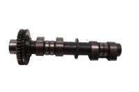 Left camshaft, intake shaft, timing shaft, valve train...