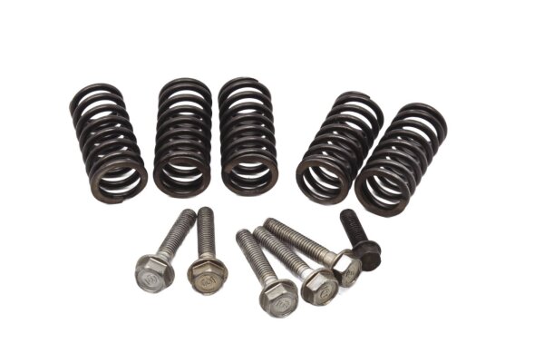 Clutch springs, screws, clutch disc spring set Honda ST 1100 SC26 90-01