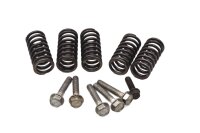 Clutch springs, screws, clutch disc spring set Honda ST...