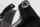 Forlygtebeslag, lampeholder, frontpanel BMW F 650 GS R13, F650GS/04 04-07