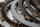Disques dembrayage, disques de friction, jeu Aprilia RST 1000 Futura PW / RST1000 01-04