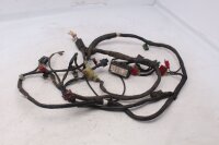 Mazo de cables, mazo de cables principal, sistema eléctrico, encendido Honda CBR 1000 F SC24 89-93