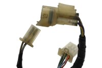 Mazo de cables, mazo de cables principal, sistema eléctrico, fusible Honda Pan European SC26 90-01