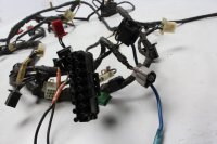 Mazo de cables, mazo de cables principal, sistema eléctrico, fusible Honda Pan European SC26 90-01