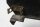 Parafango posteriore, copriruota Honda Pan European SC26 90-01