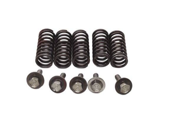 Molle della frizione, set di viti, set di molle di compressione Honda CBR 1000 F SC24 89-93