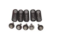 Clutch springs, screw set, compression spring set Honda...