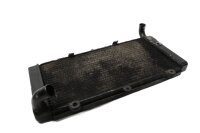 Water cooler radiator grille holder mounting point Honda...
