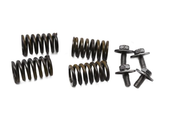 Molle della frizione, set di viti, set di molle di compressione Suzuki DR 800 S SR43B 91-97