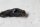 Alternator stator generator Aprilia RST 1000 Futura PW / RST1000 01-04